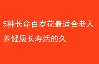 5ֳ껨ʺٻľ