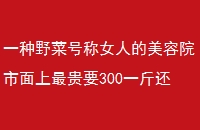 һҰ˺ųŮ˵ԺҪ300һﻹ