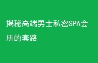 ظ߶ʿ˽SPA·