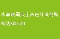 ˮۺʿԼ˹´KODIAQ